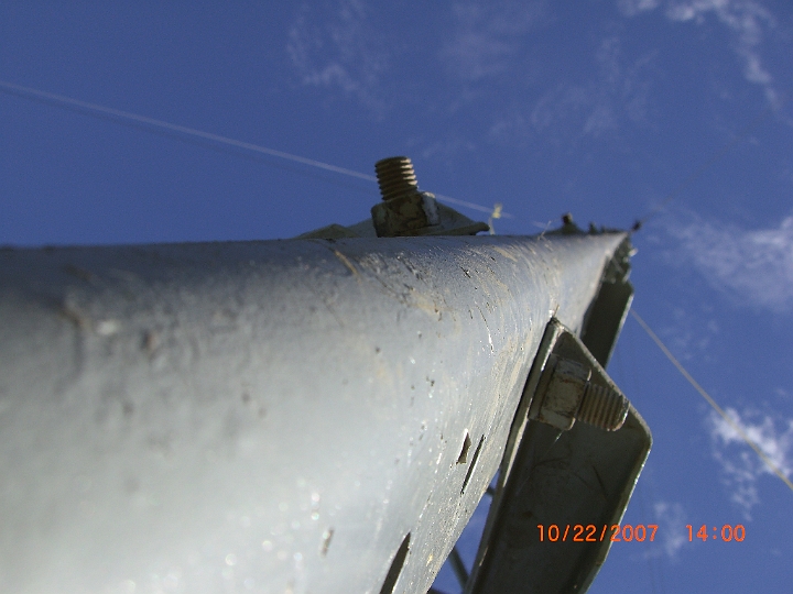 CIMG0329.JPG - They're in!